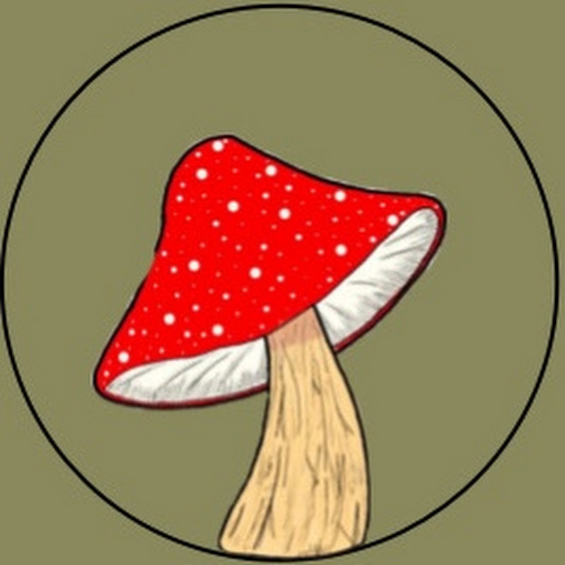 Mushroom Asmr