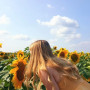 My Sunflower ASMR