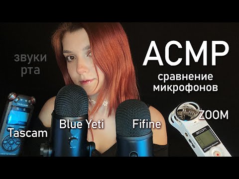 АСМР звуки рта 👅 сравнение микрофонов - Blue Yeti vs Fifine vs Tascam vs ZOOM