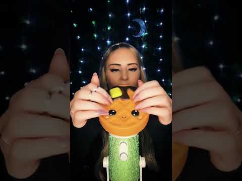 Squishy ASMR with my waffle, Butters