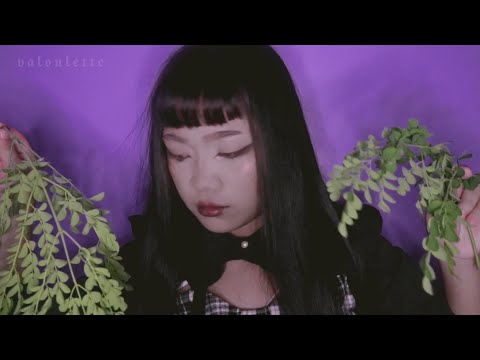 asmr. wannabe witch doctor casts out bad spirits. 🌿🧝‍♀️