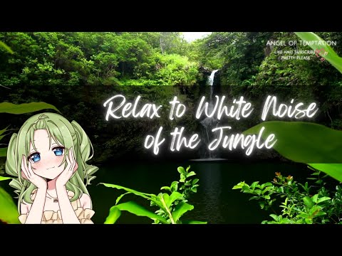 [White Noise]3 Hours of Gentle Jungle Sounds[comforting][soothing]