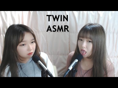 ASMR 쌍둥이가 하는 메롱메롱 한시간 | 팅글폭탄 | TWIN ASMR