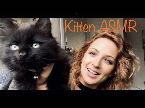 My New Kitten!! || Soft Spoken ASMR