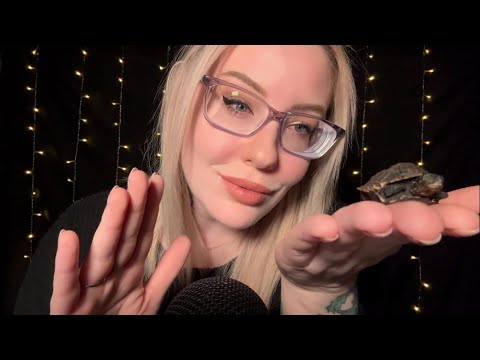 ASMR Oddities Show & Tell | The WEIRDEST Tingles You Will Ever Have