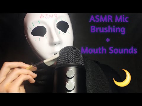 ASMR MIC BRUSHING WITH MOUTH SOUNDS - BLIND ASMR