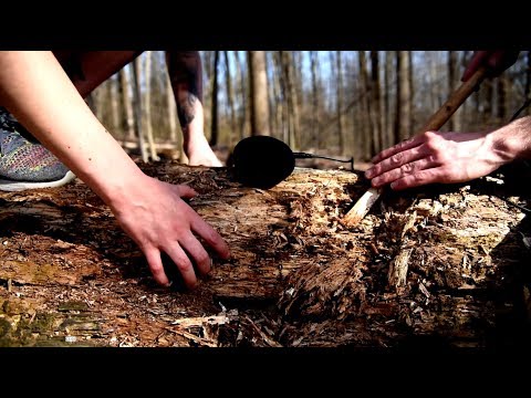 ASMR Destroying a Rotting Tree (Breaking Leaves and Twigs)