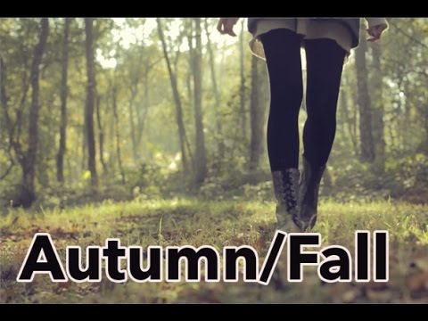ASMR Autumn / fall sounds [No speaking]