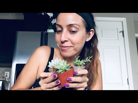ASMR Succulent Unboxing And Succulent Studios Review (Re upload)