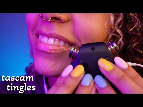 Tascam Wet Mouth Sounds & Gentle Taps (ear to ear) ~ ASMR