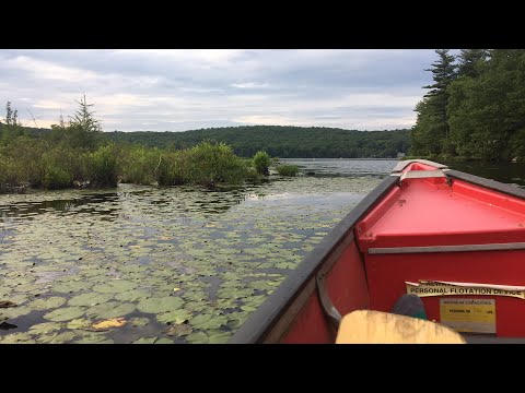 ASMR Come Canoe With Me!
