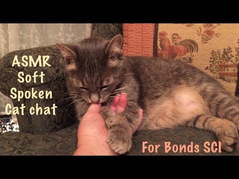 ASMR Special Request/ Cat Chat (Soft Spoken)