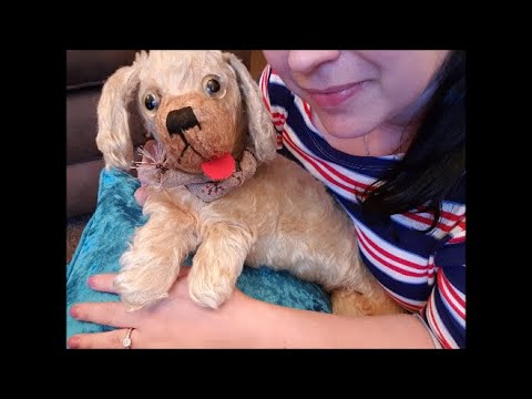 WEIRD  (but cute!) #ASMR - Pampering Doodle the Antique Dog !