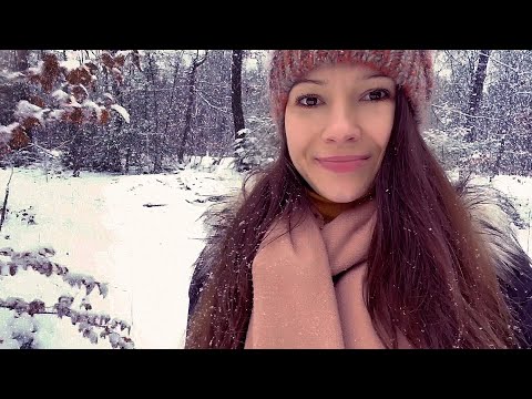 ASMR Ambience Walk in the winder forest with me