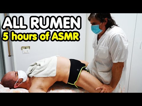 ALL RUMEN CHIROPRACTOR | ASMR 5 HOURS  | FULL MASSAGE
