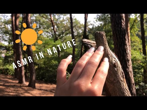 ASMR in Nature (Erics custom video)🌳☀️🐤