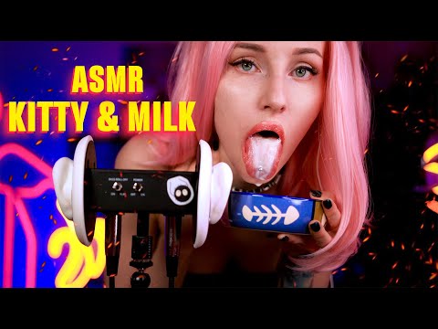 🔝 ASMR | Kitty & milk |3000 likes+1000 comments = +1 video on YouTUBE