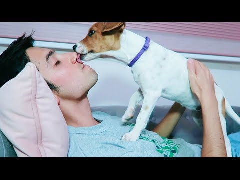 ASMR Puppy Cuddle 🐾 (Falling Asleep)