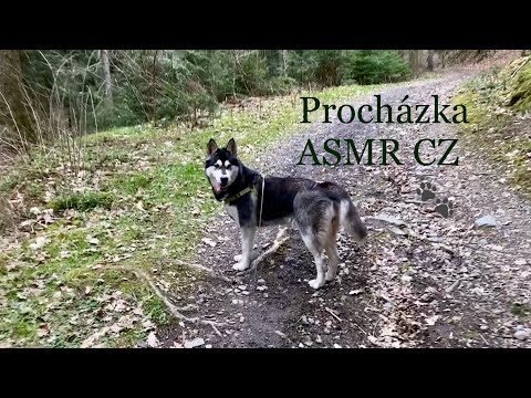 ASMR Czech Whispers | Calming Walk in Nature | Little Waterfall 🌊