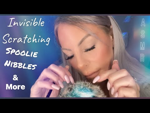 ASMR • Most Relaxing Triggers • Invisible Scratching • Gentle Whispering • Spoolie Nibbling & More