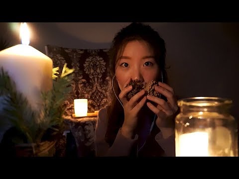 ASMR 메리메리 Merry Christmas 🎄🎁🎂 (candle, tapping, whispering, soft spoken)