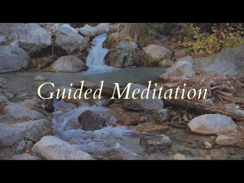 ASMR Guided Meditation | SoCal Forest Walkthrough 🌿