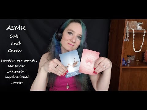 ASMR Cats and Cards (inspirational quotes and paper sounds)