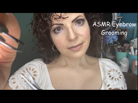 ASMR Roleplay Eyebrow Grooming (Brushing, Scissors, Personal Attention)