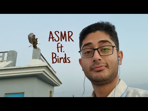 ASMR Hindi Chill Evening Vlog ft Birds (Soft Spoken, Calm Enviroment)
