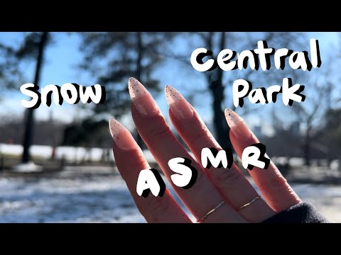 ASMR IN CENTRAL PARK: tapping/scratching on ice, snow, trees, camera *with some normal voice too*