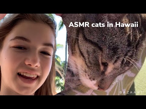 ASMR cats in Hawaii (calming whispers for sleep)
