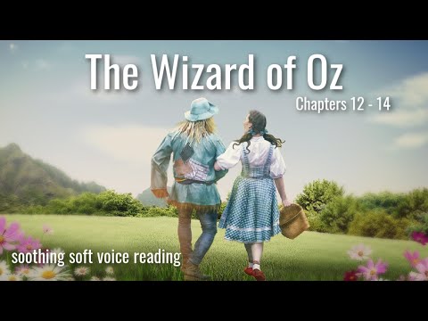 THE WIZARD OF OZ (Ch. 12 -14) Bedtime Story to Help You Get Sleepy w Soft Soothing Reading Voice 😴