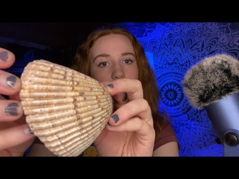 ASMR WITH SEASHELLS 🌊 + RAMBLES