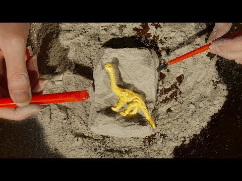 ASMR Dinosaur Excavation For Relaxation | 1 Hour