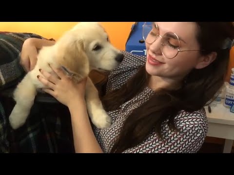 ASMR Vet Check Up | Measurements/Writing/Typing Sounds 🐕♥️