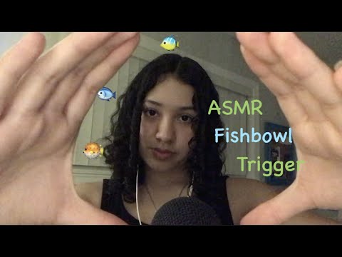 ASMR- Fishbowl Trigger🐟🐟🐟