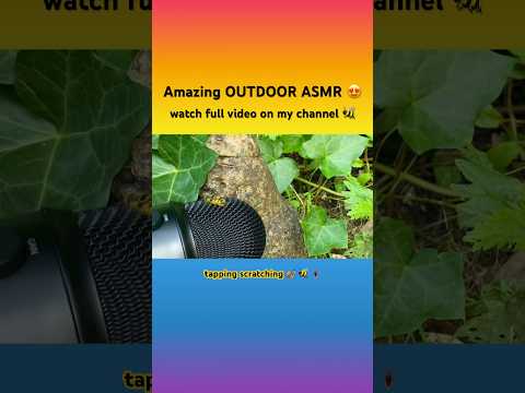 Bees 🐝 Snails 🐌 Bugs 🐜 OUTDOOR ASMR #tapping #scratching #outdoorasmr