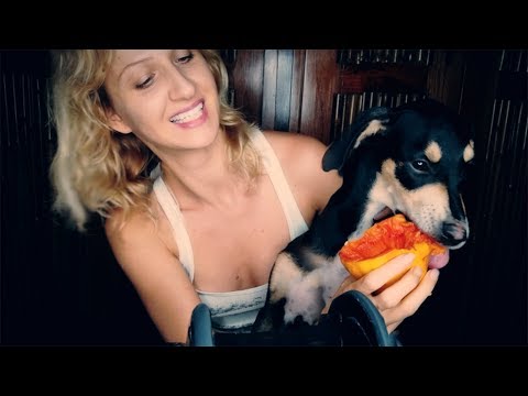 *INTENSE* ASMR Mouth Sounds | Cute Puppy Eating Fruit | ASMR Parody