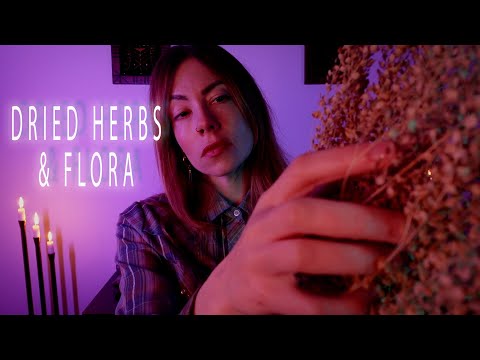 Crisp Flora Sounds | Grasping | Sweeping | Tapping | Energy Work ASMR