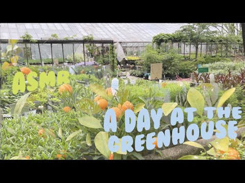 ASMR summer vlog ✨👒 A day at the greenhouse 🌻 soothing outdoor sounds 💧