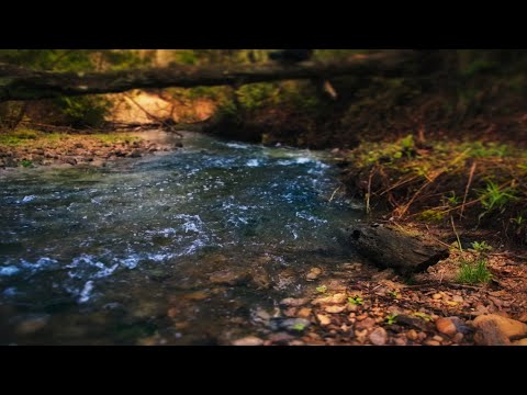 Relaxing River Sounds (3h)