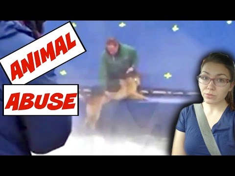 A DOG’S PURPOSE SCANDAL: Animal Abuse EXPOSED!!