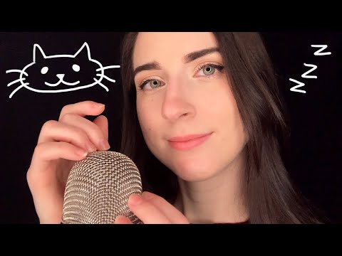 ASMR Storytime and Mic Scratching (feat. my two cats!)