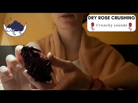 ASMR | 🌹 Rose Crushing (Crunchy sounds) 🌹