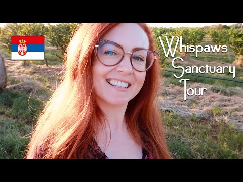 Whispaws Animal Sanctuary Tour 💜 ASMR 💜 Walking, Soft Talking, Dog Rescue & Derelict Buildings