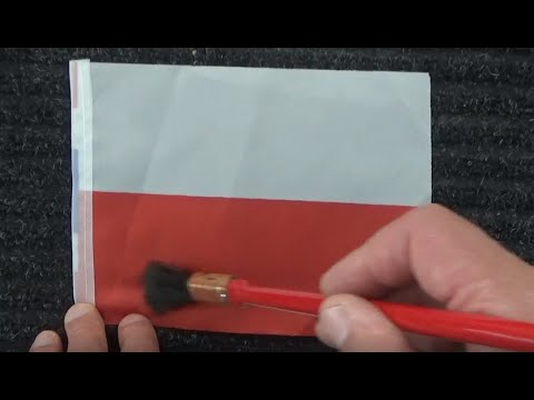 ASMR -Polish Flag Brushing & Apology -Australian Accent -Chewing Gum & Discussing in a Quiet Whisper