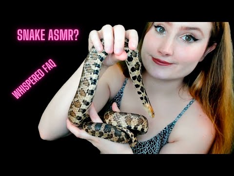 ASMR - GETTING MY SNAKE OUT FOR YOU ;) - Relaxing Whisper Ramble about my pet snake