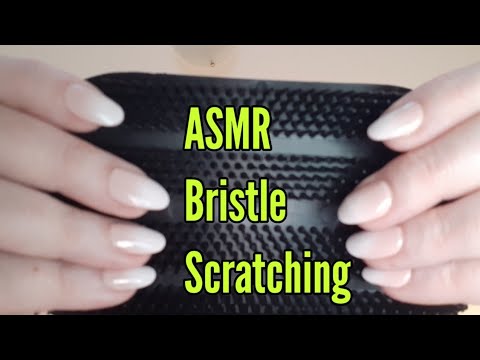 ASMR Bristle Scratching(No Talking)