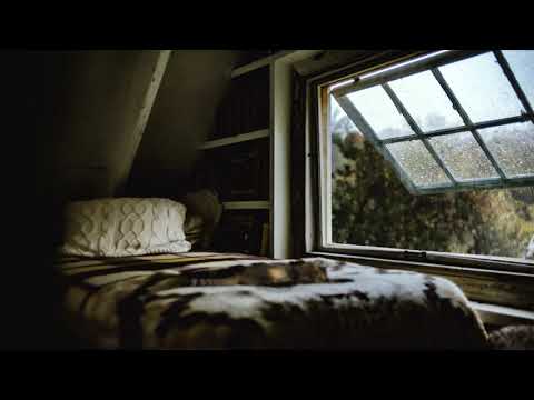 Rainy day in Bed [ASMR] House in nature 🐈 Kitty companion 🌧️ Rain and Thunder Ambience - Window View