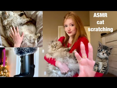 ASMR tingly cat scratching + purring *oddly relaxing*